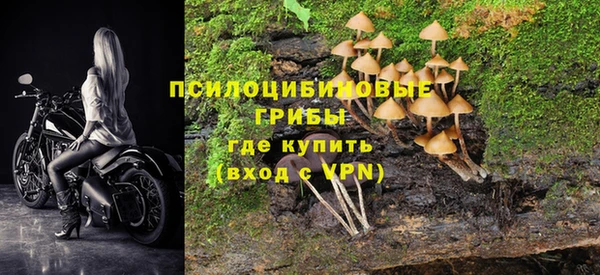 а пвп мука Рославль